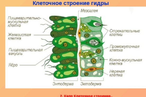 Мега зеркала тор онион мориарти кракен